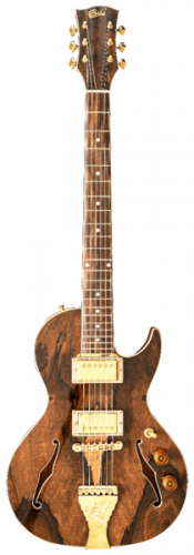 B&G Gitarre B&G Gitarre